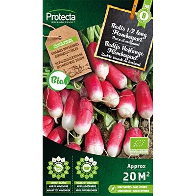 Arborix Rettich 1/2 lang Flamboyant BIO- Protecta Samen bäuerl. Arborix Rettich 1/2 lang Flamboyant BIO- Protecta Samen bäuerl.
