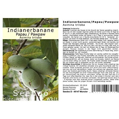 Seedeo ®Anzuchtset Indianerbanane/Papau/Pawpaw (Asimina triloba) BIO Seedeo ®Anzuchtset Indianerbanane/Papau/Pawpaw (Asimina triloba) BIO