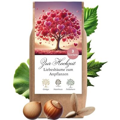 Little Plants Hochzeitsgeschenk Anzuchtset Liebesbäume Hochzeitsgeschenke für Brautpaar Liebesbäume Geschenk Hochzeit kleine Aufmerksamkeit Hochzeitsbaum Baum Pflanzen Samen Set (Variante 4) Little Plants Hochzeitsgeschenk Anzuchtset Liebesbäume Hochzeitsgeschenke für Brautpaar Liebesbäume Geschenk Hochzeit kleine Aufmerksamkeit Hochzeitsbaum Baum Pflanzen Samen Set (Variante 4)