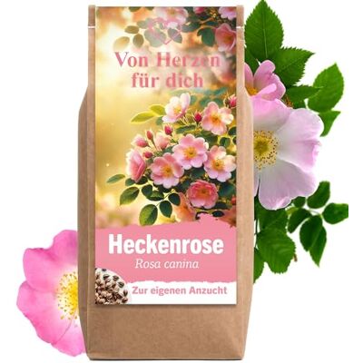 Little Plants Geschenke für Frauen Heckenrose Rosensamen Blumensamen Anzuchtset Geburtstagsgeschenk für Frauen Dankeschön Geschenke Mutter Tochter Geschenk Hochzeit Geschenk für Freundin Little Plants Geschenke für Frauen Heckenrose Rosensamen Blumensamen Anzuchtset Geburtstagsgeschenk für Frauen Dankeschön Geschenke Mutter Tochter Geschenk Hochzeit Geschenk für Freundin