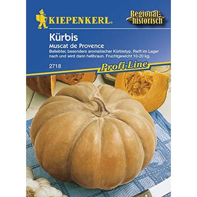 Kiepenkerl Muscat de Provence Cucurbita maxima - Kürbis Kiepenkerl Muscat de Provence Cucurbita maxima - Kürbis