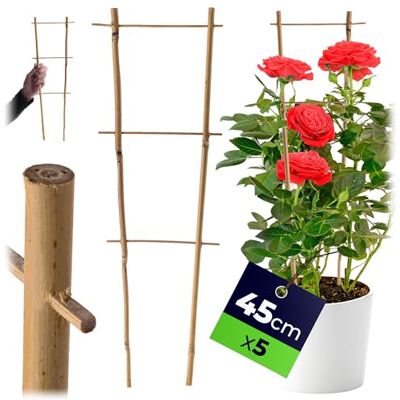 KADAX Rankgitter aus Bambus, 45 x 16 cm, 5er Set, Rankhilfe für Pflanzen, Pflanzengitter, Kletterhilfe & Pflanzstütze für Zimmerpflanzen & Kletterpflanzen KADAX Rankgitter aus Bambus, 45 x 16 cm, 5er Set, Rankhilfe für Pflanzen, Pflanzengitter, Kletterhilfe & Pflanzstütze für Zimmerpflanzen & Kletterpflanzen