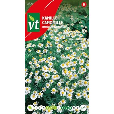 Arborix Kamille Samen Arborix Kamille Samen