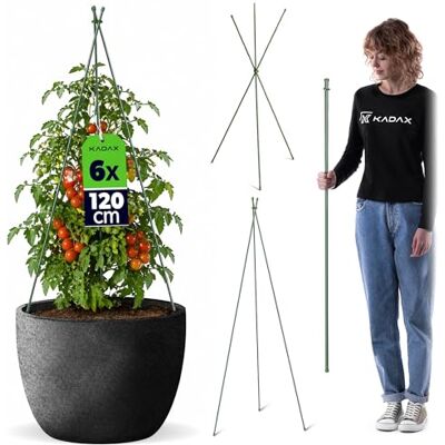 KADAX Rankhilfe für Pflanzen, 120 cm, 6er Set, wetterfeste Tomatenstütze aus Metall und Kunststoff, Rankturm für Tomaten, Rosen & Kletterpflanzen, Tomatenrankhilfen KADAX Rankhilfe für Pflanzen, 120 cm, 6er Set, wetterfeste Tomatenstütze aus Metall und Kunststoff, Rankturm für Tomaten, Rosen & Kletterpflanzen, Tomatenrankhilfen