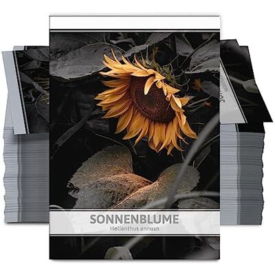 FLORTUS Freude an Vielfalt FLORTUS Sonnenblumen Samen für Gastgeschenke (100 Stück) Blumensamen perfekt als Dankeschön Geschenke, Werbegeschenke & Trauerkarten Danksagung FLORTUS Freude an Vielfalt FLORTUS Sonnenblumen Samen für Gastgeschenke (100 Stück) Blumensamen perfekt als Dankeschön Geschenke, Werbegeschenke & Trauerkarten Danksagung