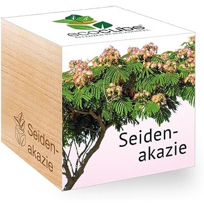 Feel Green Ecocube Seidenakazie, Nachhaltige Geschenkidee (100% Eco Friendly), Grow Your Own/Anzuchtset, Pflanzen Im Holzwürfel, Made in Austria Feel Green Ecocube Seidenakazie, Nachhaltige Geschenkidee (100% Eco Friendly), Grow Your Own/Anzuchtset, Pflanzen Im Holzwürfel, Made in Austria