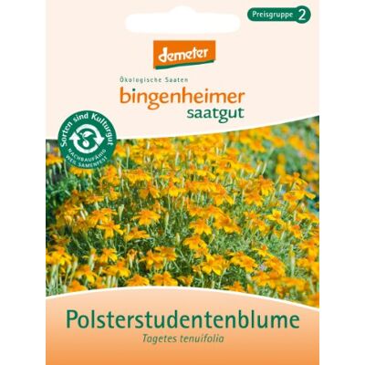 Bingenheimer Saatgut Polsterstudentenblume Bingenheimer Saatgut Polsterstudentenblume