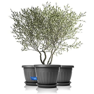 BigDean 3X Blumentopf mit Untersetzer rund ø50xH38 cm anthrazit wetterfester Pflanzkübel Wasserablauf UV-beständig aus bruchsicherem Kunststoff Innen + Außen geeignet Made in Europe BigDean 3X Blumentopf mit Untersetzer rund ø50xH38 cm anthrazit wetterfester Pflanzkübel Wasserablauf UV-beständig aus bruchsicherem Kunststoff Innen + Außen geeignet Made in Europe