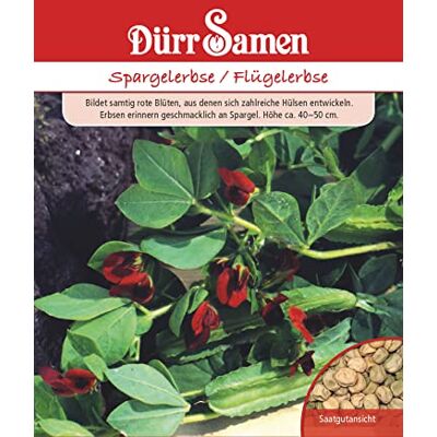 Dürr-Samen Dürr Samen 4508 Spargelerbse (Spargelerbsensamen) Dürr-Samen Dürr Samen 4508 Spargelerbse (Spargelerbsensamen)
