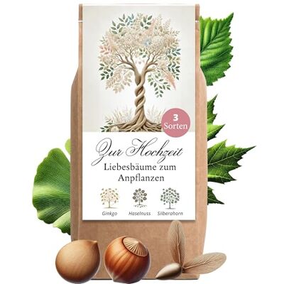 Little Plants Hochzeitsgeschenk Anzuchtset Liebesbäume Hochzeitsgeschenke für Brautpaar Liebesbäume Geschenk Hochzeit kleine Aufmerksamkeit Hochzeitsbaum Baum Pflanzen Samen Set (Variante 2) Little Plants Hochzeitsgeschenk Anzuchtset Liebesbäume Hochzeitsgeschenke für Brautpaar Liebesbäume Geschenk Hochzeit kleine Aufmerksamkeit Hochzeitsbaum Baum Pflanzen Samen Set (Variante 2)