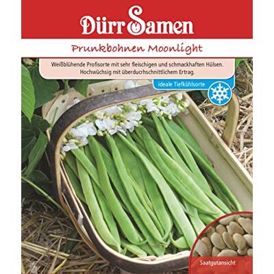 Dürr-Samen Prunkbohnen Samen Moonlight Bohnensamen Weißblühende Bohnen ca 40 Korn Saatgut Gemüse Garten Hochbeet Kübel Dürr Samen Dürr-Samen Prunkbohnen Samen Moonlight Bohnensamen Weißblühende Bohnen ca 40 Korn Saatgut Gemüse Garten Hochbeet Kübel Dürr Samen