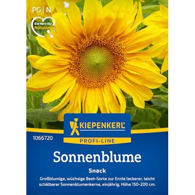Kiepenkerl Profi-Line Sonnenblumensamen Snack 1066720 Große goldgelbe Blüten mit ertragreicher Ernte leicht schälbarer Kerne Wildblumensamen, Blumenwiese Kiepenkerl Profi-Line Sonnenblumensamen Snack 1066720 Große goldgelbe Blüten mit ertragreicher Ernte leicht schälbarer Kerne Wildblumensamen, Blumenwiese