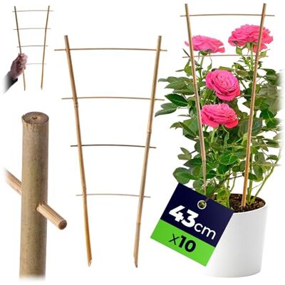KADAX Rankgitter aus Bambus, 43 x 21 cm, 10er Set, Rankhilfe für Pflanzen, Pflanzengitter, Kletterhilfe & Pflanzstütze für Zimmerpflanzen & Kletterpflanzen KADAX Rankgitter aus Bambus, 43 x 21 cm, 10er Set, Rankhilfe für Pflanzen, Pflanzengitter, Kletterhilfe & Pflanzstütze für Zimmerpflanzen & Kletterpflanzen