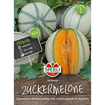 Sperli 81540 Premium Zuckermelone Samen Artemis Reichtragend Melonen Samen Honigmelone Samen Samen Melone Mini Melonen Pflanze Mini Melonen Samen Melonen Samen Freiland Sperli 81540 Premium Zuckermelone Samen Artemis Reichtragend Melonen Samen Honigmelone Samen Samen Melone Mini Melonen Pflanze Mini Melonen Samen Melonen Samen Freiland