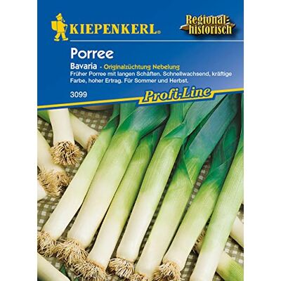 Sperli Gemüsesamen Porree Bavaria, grün Sperli Gemüsesamen Porree Bavaria, grün