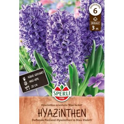 Sperli 450491 Hyazinthe Blue Jacket (4 Stück) (Herbstblumenzwiebeln) Sperli 450491 Hyazinthe Blue Jacket (4 Stück) (Herbstblumenzwiebeln)