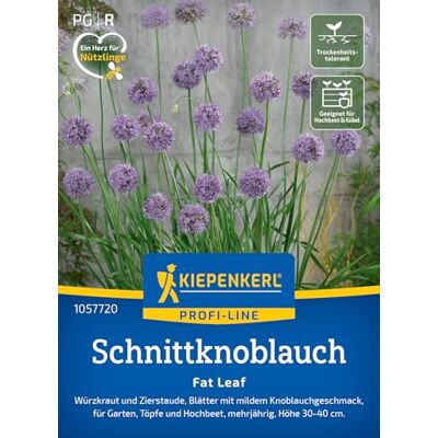Kiepenkerl Schnittknoblauchsamen "Fat Leaf" 1057720, Kräutersaat Würzkraut- und Zierstaude mit Knoblauchgeschmack, aromatisch, Ernte ab Winter, für Beet, Hochbeet & Freiland Kiepenkerl Schnittknoblauchsamen "Fat Leaf" 1057720, Kräutersaat Würzkraut- und Zierstaude mit Knoblauchgeschmack, aromatisch, Ernte ab Winter, für Beet, Hochbeet & Freiland