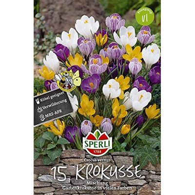 Sperli Krokusse vernus Mischung Sperli Krokusse vernus Mischung
