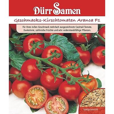 Dürr-Samen Geschmacks-Kirschtomaten Aranca F1 Saatgut Dürr-Samen Geschmacks-Kirschtomaten Aranca F1 Saatgut