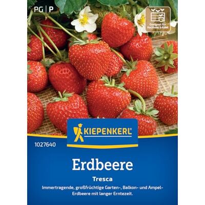 Kiepenkerl Erdbeersamen "Tresca" 1027640, Gemüsesaat Lange Erntezeit, Ampel & Balkon, Erdbeerpflanze, Früchte, aromatisch, mehrjährig, für Beet, Freiland & Topf Kiepenkerl Erdbeersamen "Tresca" 1027640, Gemüsesaat Lange Erntezeit, Ampel & Balkon, Erdbeerpflanze, Früchte, aromatisch, mehrjährig, für Beet, Freiland & Topf