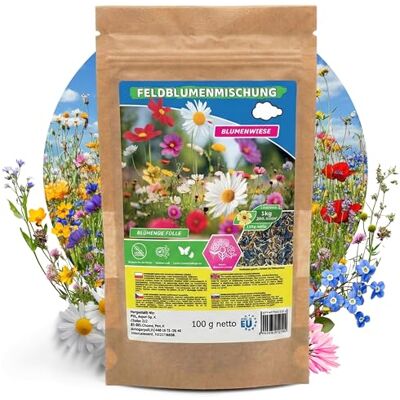 ARPON Blumenwiese aus Wildblumensamen – Premium Mischung für bunte Blüten Insektenfreundliche Blumensamen mit 40 Feldblumen und Kräuterarten ARPON Blumenwiese aus Wildblumensamen – Premium Mischung für bunte Blüten Insektenfreundliche Blumensamen mit 40 Feldblumen und Kräuterarten