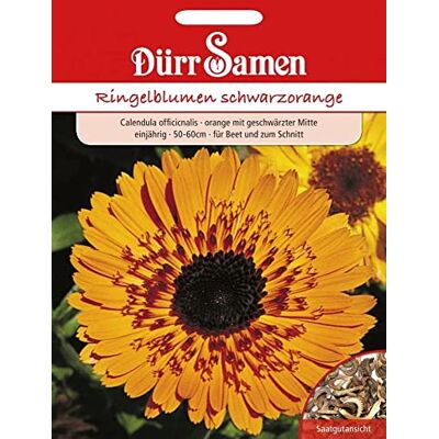 Dürr-Samen Ringelblumen Samen schwarzorange Ringelblumensamen Heilpflanze Kräuterpflanze Bienenfreundlich cam120 Korn Saatgut Garten Hochbeet Kübel Dürr Samen Dürr-Samen Ringelblumen Samen schwarzorange Ringelblumensamen Heilpflanze Kräuterpflanze Bienenfreundlich cam120 Korn Saatgut Garten Hochbeet Kübel Dürr Samen