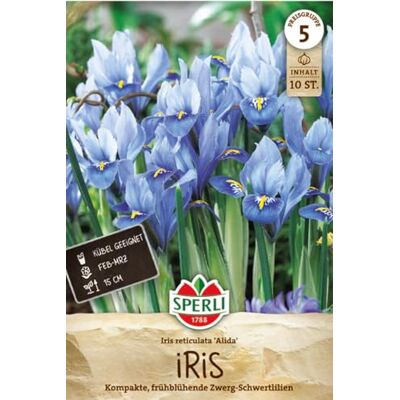 Sperli Zwerg-Iris Alida 460377 Blumenzwiebeln, himmelblaue Blüten mit gelben Marken, 15 cm, winterhart, mehrjährig, bienenfreundlich, für Kübel, Kästen, Hochbeete Sperli Zwerg-Iris Alida 460377 Blumenzwiebeln, himmelblaue Blüten mit gelben Marken, 15 cm, winterhart, mehrjährig, bienenfreundlich, für Kübel, Kästen, Hochbeete