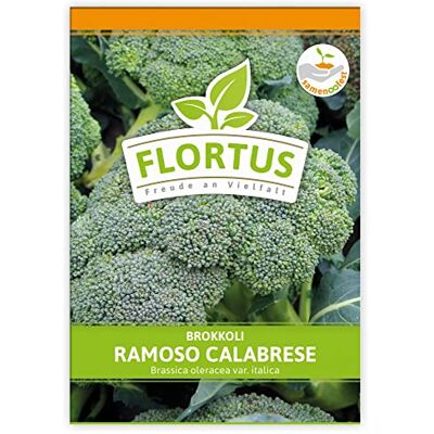 FLORTUS Freude an Vielfalt FLORTUS Brokkoli Ramoso Calabrese Gemüsesamen Kohlsamen Brokkolisamen Samen zur Anzucht für Garten, Balkon, Küche & Fensterbank FLORTUS Freude an Vielfalt FLORTUS Brokkoli Ramoso Calabrese Gemüsesamen Kohlsamen Brokkolisamen Samen zur Anzucht für Garten, Balkon, Küche & Fensterbank