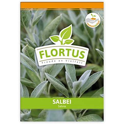FLORTUS Freude an Vielfalt FLORTUS Salbei Kräutersamen Salbeisamen Samen zur Anzucht für Garten, Balkon, Küche & Fensterbank FLORTUS Freude an Vielfalt FLORTUS Salbei Kräutersamen Salbeisamen Samen zur Anzucht für Garten, Balkon, Küche & Fensterbank