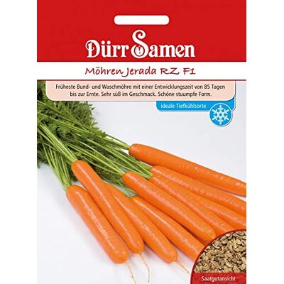 Dürr-Samen Dürr Samen 4227 Möhre Jerada RZ F1 (Möhrensamen) Dürr-Samen Dürr Samen 4227 Möhre Jerada RZ F1 (Möhrensamen)