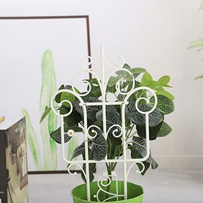 Generic 6 Stück kleine Rankhilfe für Topfpflanzen, drinnen und draußen, Kunststoff, Mini-DIY-Garten-Stützgitter für Kletterpflanzen, Kletterhalter, Rack (weiß) Generic 6 Stück kleine Rankhilfe für Topfpflanzen, drinnen und draußen, Kunststoff, Mini-DIY-Garten-Stützgitter für Kletterpflanzen, Kletterhalter, Rack (weiß)