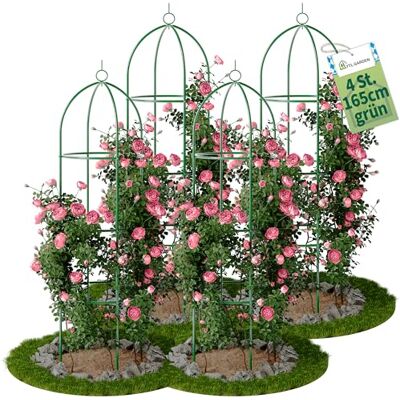 TTL GARDEN 165x40cm Obelisk Rankhilfe L grün 4er Set Rosen Rankgitter Metall rostfrei für Kletterpflanzen Rosen Clematis pulverbeschichteter Stahl 165 cm hoch 40cm Ø Rankturm Tomaten Gurken TTL GARDEN 165x40cm Obelisk Rankhilfe L grün 4er Set Rosen Rankgitter Metall rostfrei für Kletterpflanzen Rosen Clematis pulverbeschichteter Stahl 165 cm hoch 40cm Ø Rankturm Tomaten Gurken