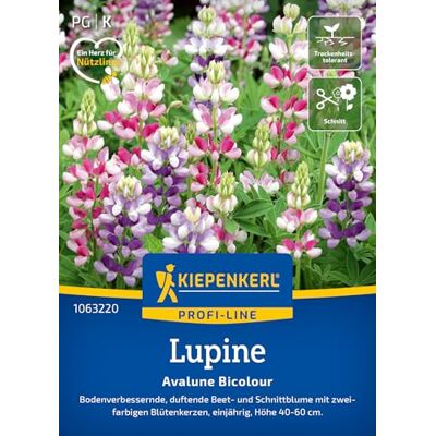 Kiepenkerl Lupinensamen "Avalune Bicolour" 1063220, Blumensaat Bodenverbessernde, duftende Beet- und Schnittblume, Blumenwiese, für Beet & Schnittblumen Kiepenkerl Lupinensamen "Avalune Bicolour" 1063220, Blumensaat Bodenverbessernde, duftende Beet- und Schnittblume, Blumenwiese, für Beet & Schnittblumen