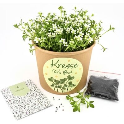 Alluvo Kresse Anzuchtset mit Topf für Microgreens & Keimsprossen selbst anbauen Komplettes Pflanzset mit Kressesamen, Erde und Anzuchttopf Ideal für Fensterbank und ingarden Kresse das ganze Jahr Alluvo Kresse Anzuchtset mit Topf für Microgreens & Keimsprossen selbst anbauen Komplettes Pflanzset mit Kressesamen, Erde und Anzuchttopf Ideal für Fensterbank und ingarden Kresse das ganze Jahr