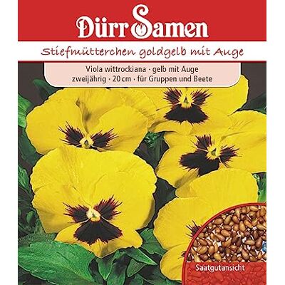 Dürr-Samen Stiefmütterchen Samen Gelb mit Auge Goldgelb Stiefmütterchensamen Veilchen ca 200 Korn Saatgut Blumensamen Garten Hochbeet Balkonkasten Kübel Dürr Samen Dürr-Samen Stiefmütterchen Samen Gelb mit Auge Goldgelb Stiefmütterchensamen Veilchen ca 200 Korn Saatgut Blumensamen Garten Hochbeet Balkonkasten Kübel Dürr Samen