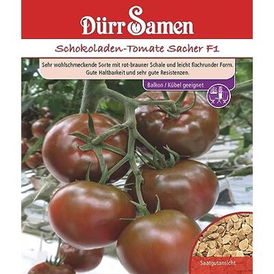 Dürr-Samen Schokoladen- Tomaten Sacher F1 Saatgut Dürr-Samen Schokoladen- Tomaten Sacher F1 Saatgut