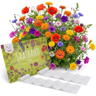 HappySeed 2X Saatteppich Blumensamen Balkonkasten Mischung Farbenfrohe Blumen mit Langer Blütezeit ideal für Ihren Balkon, Garten & Blumenwiese HappySeed 2X Saatteppich Blumensamen Balkonkasten Mischung Farbenfrohe Blumen mit Langer Blütezeit ideal für Ihren Balkon, Garten & Blumenwiese