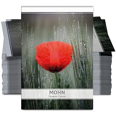 FLORTUS Freude an Vielfalt FLORTUS Mohnsamen als Gastgeschenke (100 Stück) Blumensamen perfekt als Dankeschön Geschenke, Werbegeschenke & Trauerkarten Danksagung FLORTUS Freude an Vielfalt FLORTUS Mohnsamen als Gastgeschenke (100 Stück) Blumensamen perfekt als Dankeschön Geschenke, Werbegeschenke & Trauerkarten Danksagung