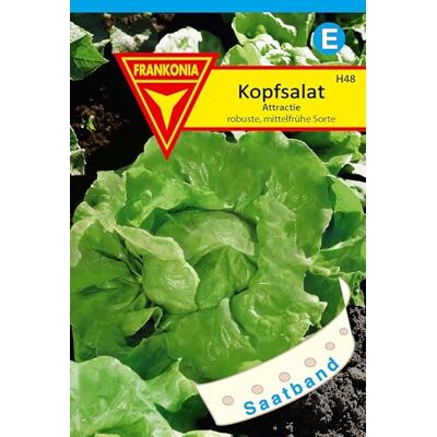 Frankonia ® Kopfsalat Attraktion Saatband Gemüse-Samen, Saatgut, Salat-Samen, Lactuca sativa Frankonia ® Kopfsalat Attraktion Saatband Gemüse-Samen, Saatgut, Salat-Samen, Lactuca sativa