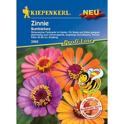 Kiepenkerl 3966 Zinnie Bumblebee (Zinniensamen) Kiepenkerl 3966 Zinnie Bumblebee (Zinniensamen)