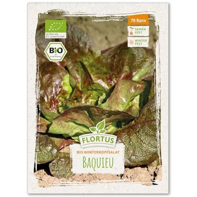 FLORTUS Freude an Vielfalt FLORTUS – BIO Winterkopfsalat Samen Baquieu – Kopfsalat Samen zur Anzucht für Garten, Balkon, Küche & Fensterbank – Wintersalat mit höchster Bioqualität & ohne Gentechnik (20 Korn) FLORTUS Freude an Vielfalt FLORTUS – BIO Winterkopfsalat Samen Baquieu – Kopfsalat Samen zur Anzucht für Garten, Balkon, Küche & Fensterbank – Wintersalat mit höchster Bioqualität & ohne Gentechnik (20 Korn)