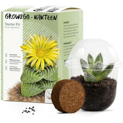 HappySeed GROW2GO Kakteen Starter Kit Anzuchtset Pflanzset aus Mini-Gewächshaus, Kaktus Samen & Erde nachhaltige Geschenkidee für Pflanzenfreunde (Echter Tigerrachen) HappySeed GROW2GO Kakteen Starter Kit Anzuchtset Pflanzset aus Mini-Gewächshaus, Kaktus Samen & Erde nachhaltige Geschenkidee für Pflanzenfreunde (Echter Tigerrachen)