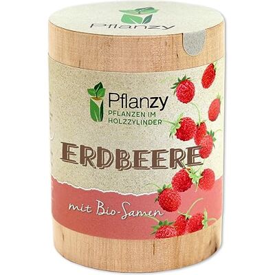 Feel Green Pflanzy Erdbeere Anzuchtset im Holzzylinder mit BIO-Samen Feel Green Pflanzy Erdbeere Anzuchtset im Holzzylinder mit BIO-Samen
