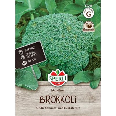 Sperli 81043 Premium Brokkoli Samen Marathon Aromatisch Zart Ertragreich Große Köpfe Brokkoli Saatgut Sperli 81043 Premium Brokkoli Samen Marathon Aromatisch Zart Ertragreich Große Köpfe Brokkoli Saatgut