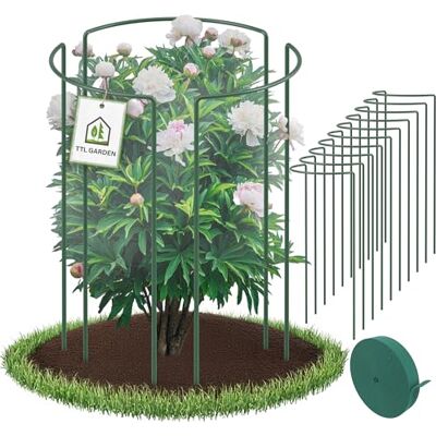 TTL GARDEN Strauchstützen 70cm x 40cm 10er Set + Klettband Pflanzenstütze Stahl rostfrei Kunststoff beschichtet Pflanzenhalter Staudenhalter Blumenhalter Hortensie Rosen Pfingstrosen Ø 5,5mm grün TTL GARDEN Strauchstützen 70cm x 40cm 10er Set + Klettband Pflanzenstütze Stahl rostfrei Kunststoff beschichtet Pflanzenhalter Staudenhalter Blumenhalter Hortensie Rosen Pfingstrosen Ø 5,5mm grün