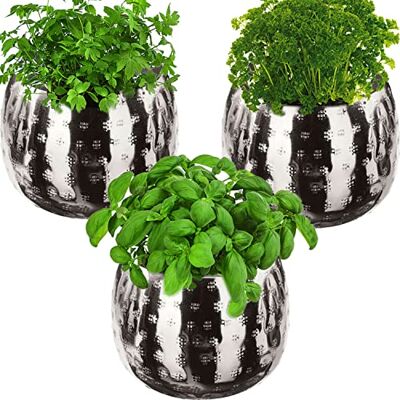 QMBasic 3er KRÄUTERTOPF Set Silber Ø11cm Metall Übertopf Gross Pflanzen Kübel Blumentopf QMBasic 3er KRÄUTERTOPF Set Silber Ø11cm Metall Übertopf Gross Pflanzen Kübel Blumentopf