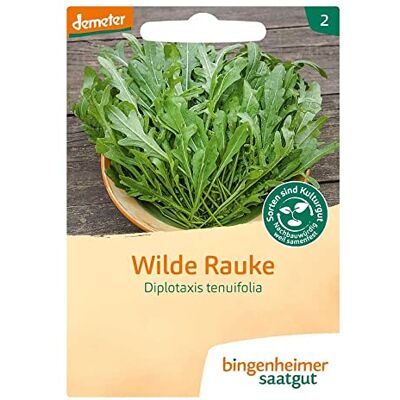 Bingenheimer Saatgut , Wilde Rauke, Ruca Bingenheimer Saatgut , Wilde Rauke, Ruca