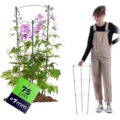 KADAX Rankhilfe für Pflanzen, 75cm, Pflanzenstütze aus Stahl, Blumenstütze, Pflanzenhalter, Rankgitter für Kletterpflanzen im Garten oder Blumentopf, Rankturm für Tomaten KADAX Rankhilfe für Pflanzen, 75cm, Pflanzenstütze aus Stahl, Blumenstütze, Pflanzenhalter, Rankgitter für Kletterpflanzen im Garten oder Blumentopf, Rankturm für Tomaten