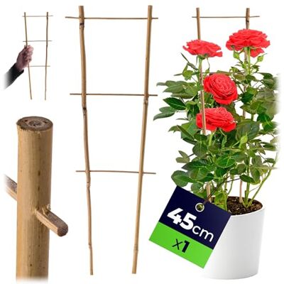 KADAX Rankgitter aus Bambus, 45 x 16 cm, Rankhilfe für Pflanzen, Pflanzengitter, Kletterhilfe & Pflanzstütze für Zimmerpflanzen & Kletterpflanzen KADAX Rankgitter aus Bambus, 45 x 16 cm, Rankhilfe für Pflanzen, Pflanzengitter, Kletterhilfe & Pflanzstütze für Zimmerpflanzen & Kletterpflanzen