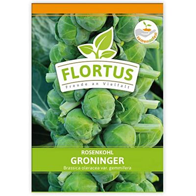 FLORTUS Freude an Vielfalt FLORTUS Rosenkohl Groninger Gemüsesamen Kohlsamen Rosenkohlsamen Samen zur Anzucht für Garten, Balkon, Küche & Fensterbank FLORTUS Freude an Vielfalt FLORTUS Rosenkohl Groninger Gemüsesamen Kohlsamen Rosenkohlsamen Samen zur Anzucht für Garten, Balkon, Küche & Fensterbank